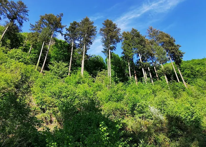 Haus Sonnenschein Holiday home Bad Bertrich